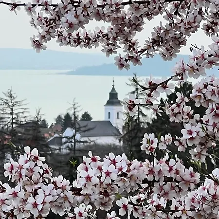 Апартаменты Dozsa Чопак